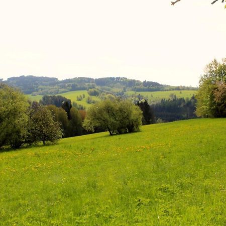 Ve Stodole Villa Zlata Olesnice  Luaran gambar