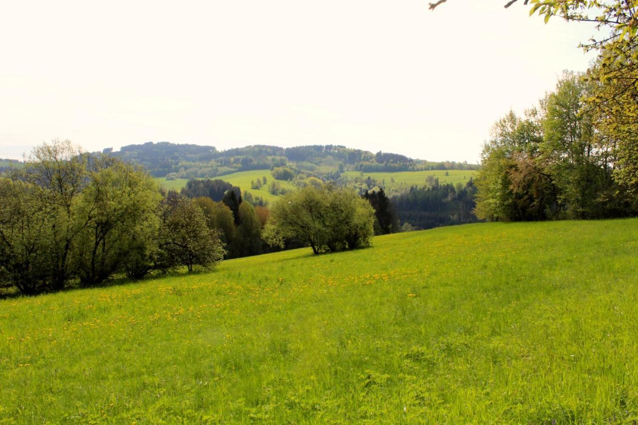 Ve Stodole Villa Zlata Olesnice  Luaran gambar