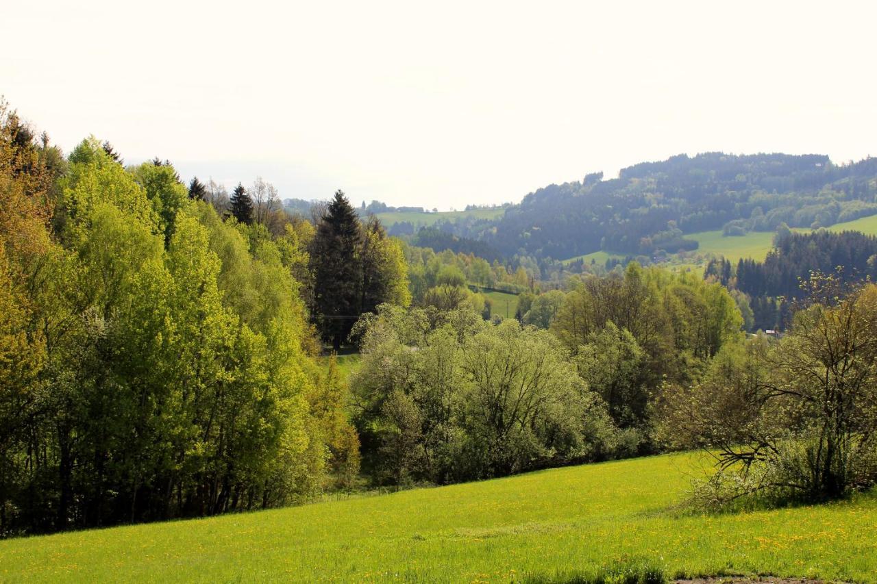 Ve Stodole Villa Zlata Olesnice  Luaran gambar