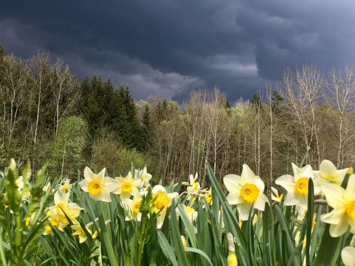 Ve Stodole Villa Zlata Olesnice  Luaran gambar